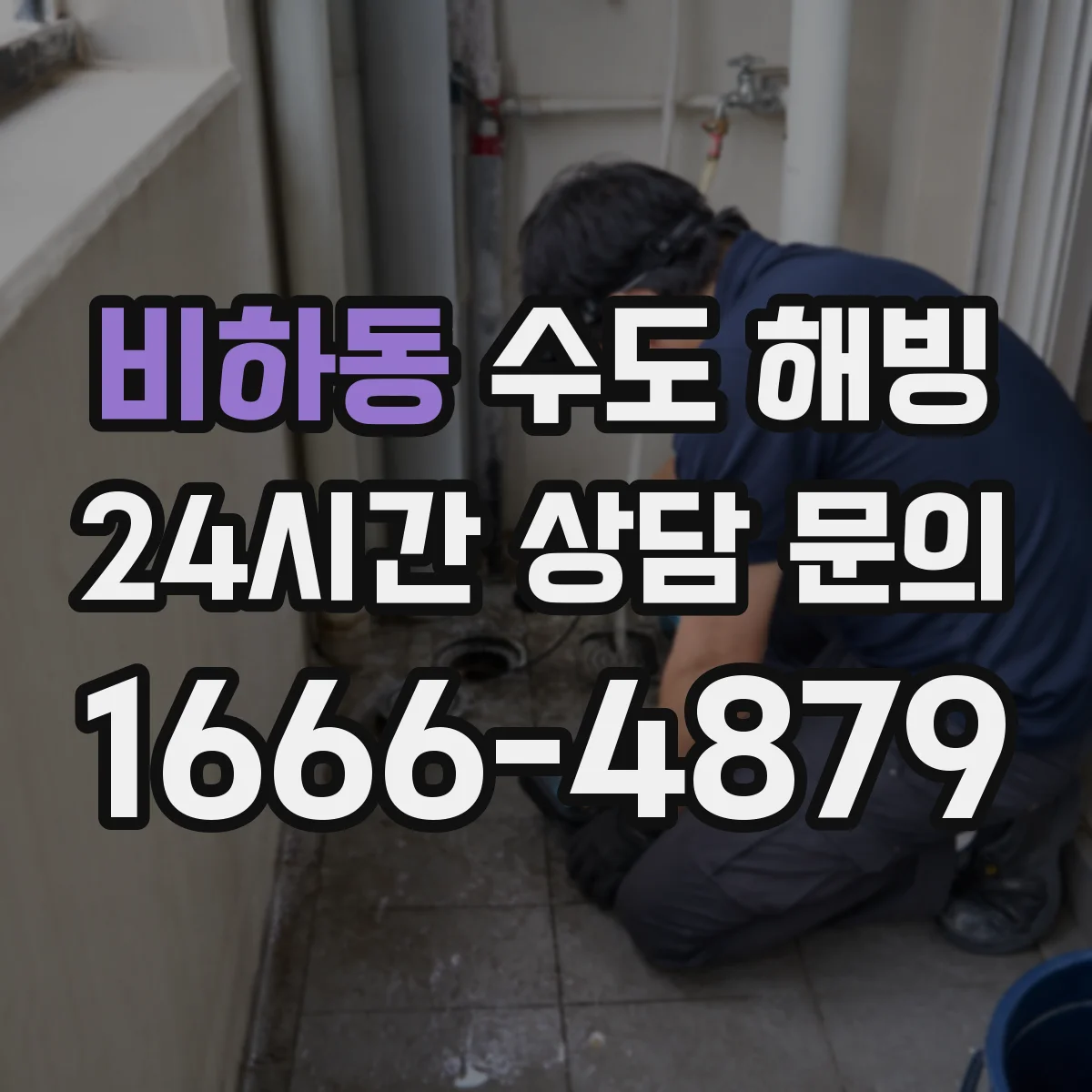 비하동 수도 해빙