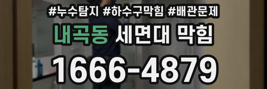 내곡동 세면대 막힘