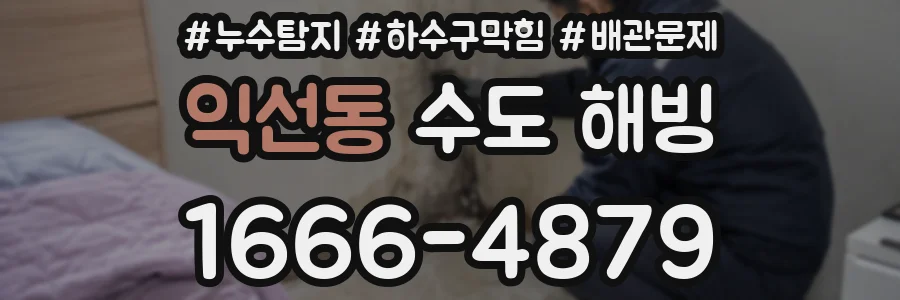익선동 수도 해빙