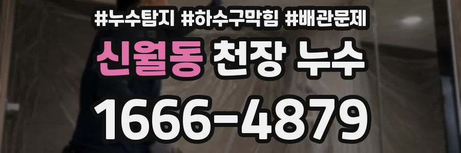신월동 천장 누수
