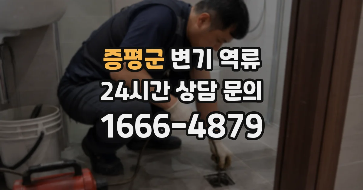 증평군 변기 역류