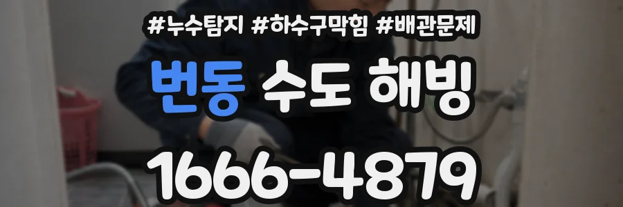 번동 수도 해빙