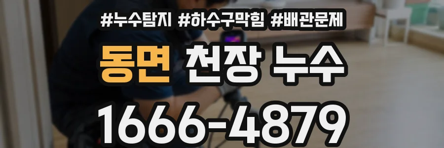 동면 천장 누수