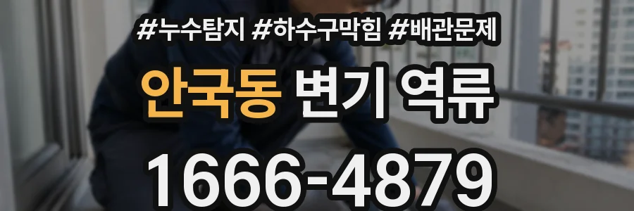 안국동 변기 역류