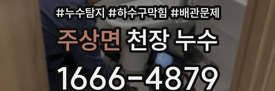 주상면 천장 누수