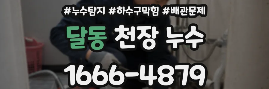 달동 천장 누수