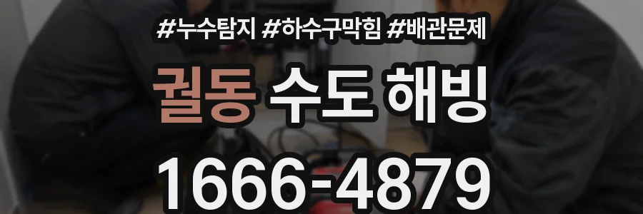 궐동 수도 해빙