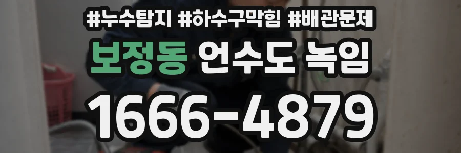 보정동 언수도 녹임