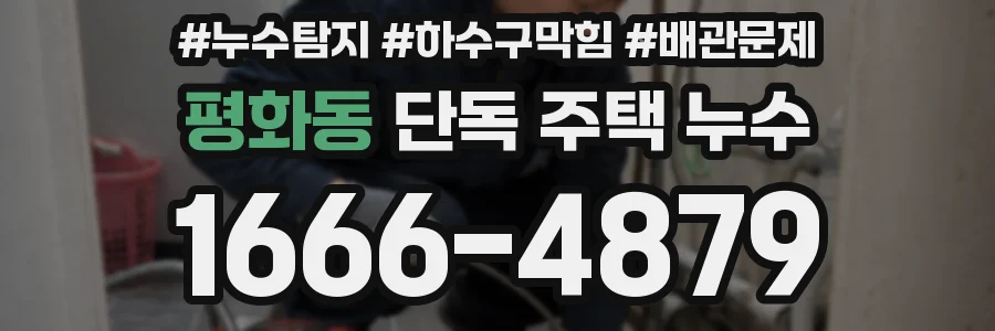 평화동 단독 주택 누수