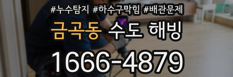 금곡동 수도 해빙