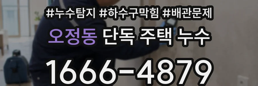 오정동 단독 주택 누수