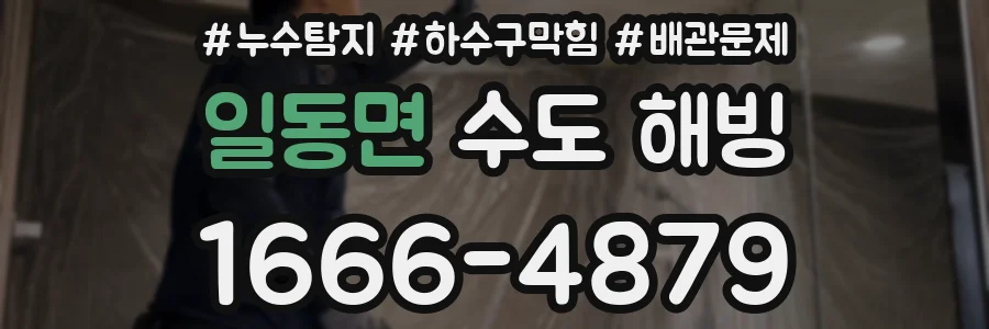 일동면 수도 해빙