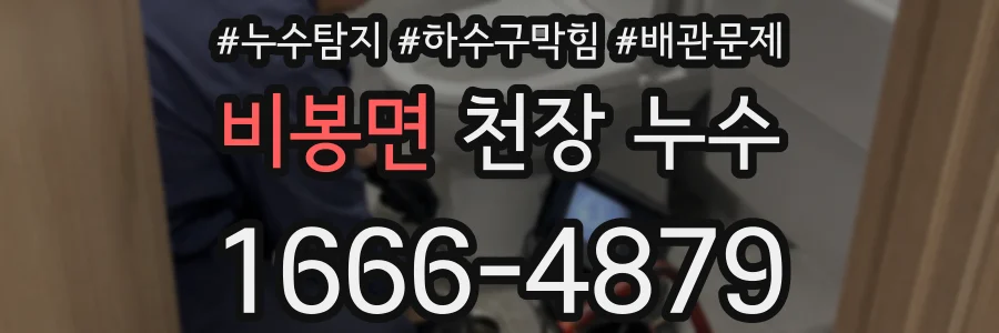 비봉면 천장 누수