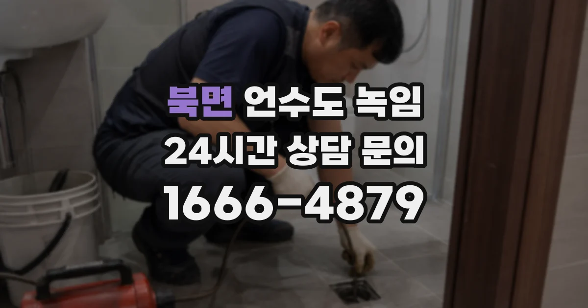 북면 언수도 녹임