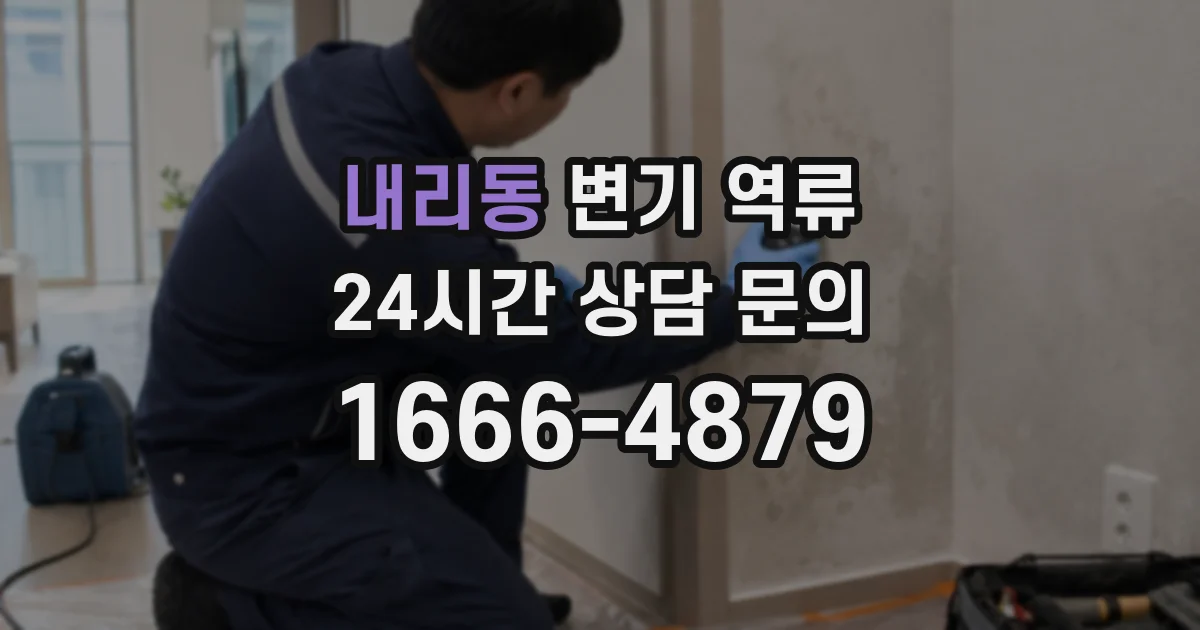 내리동 변기 역류