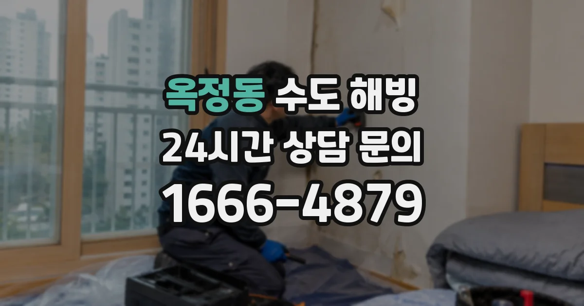 옥정동 수도 해빙