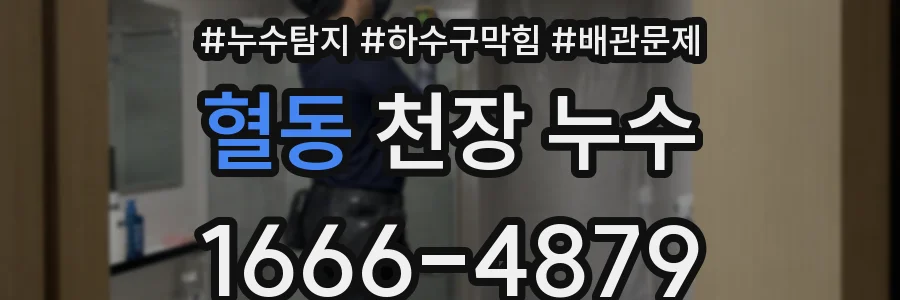 혈동 천장 누수