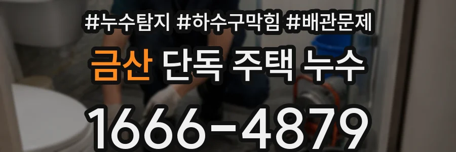 금산 단독 주택 누수