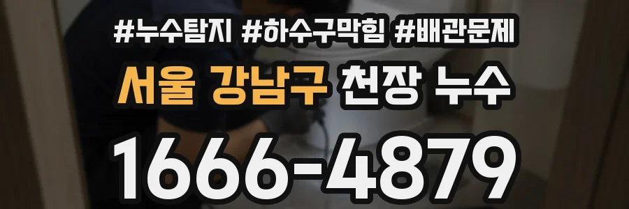 서울 강남구 천장 누수