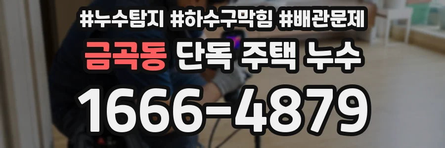 금곡동 단독 주택 누수