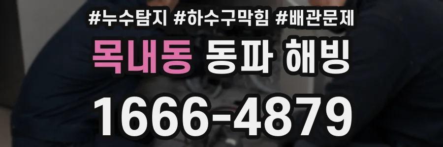 목내동 동파 해빙