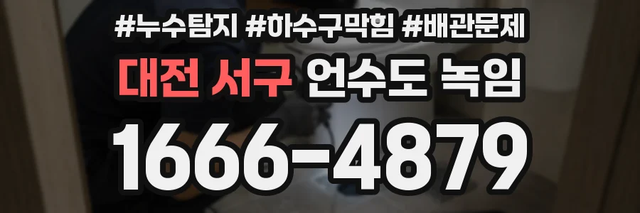 대전 서구 언수도 녹임