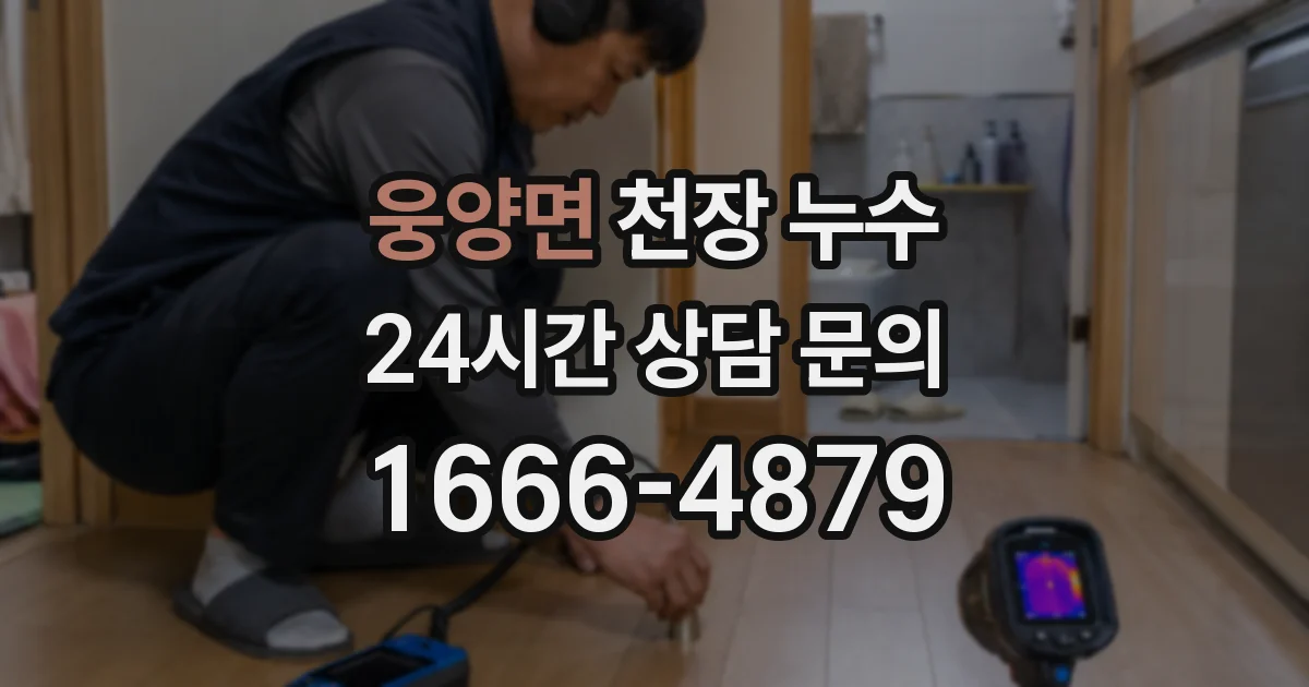 웅양면 천장 누수