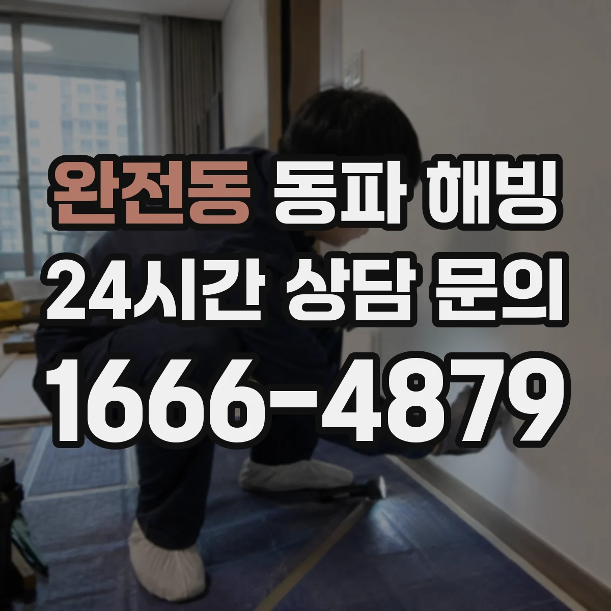 완전동 동파 해빙