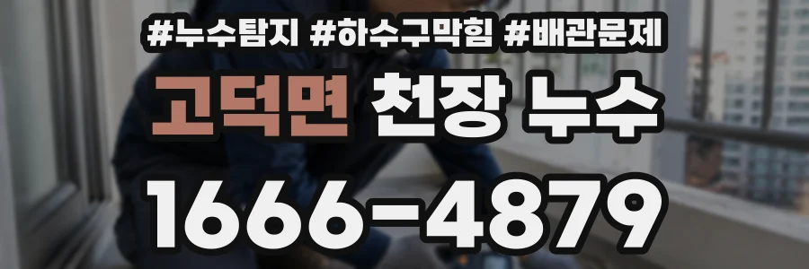 고덕면 천장 누수