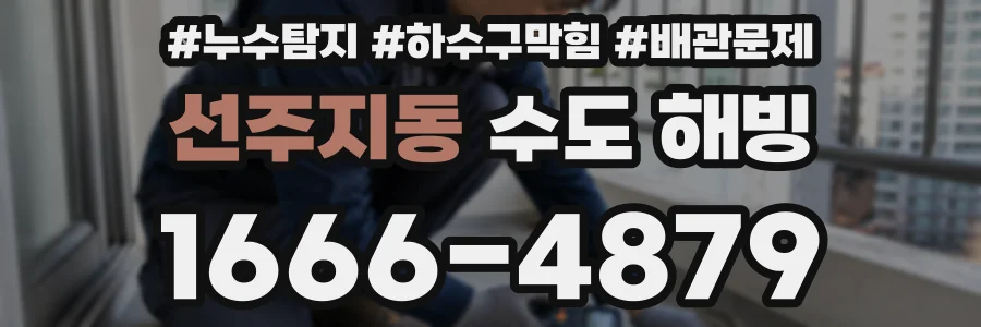선주지동 수도 해빙