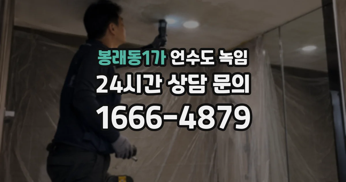 봉래동1가 언수도 녹임