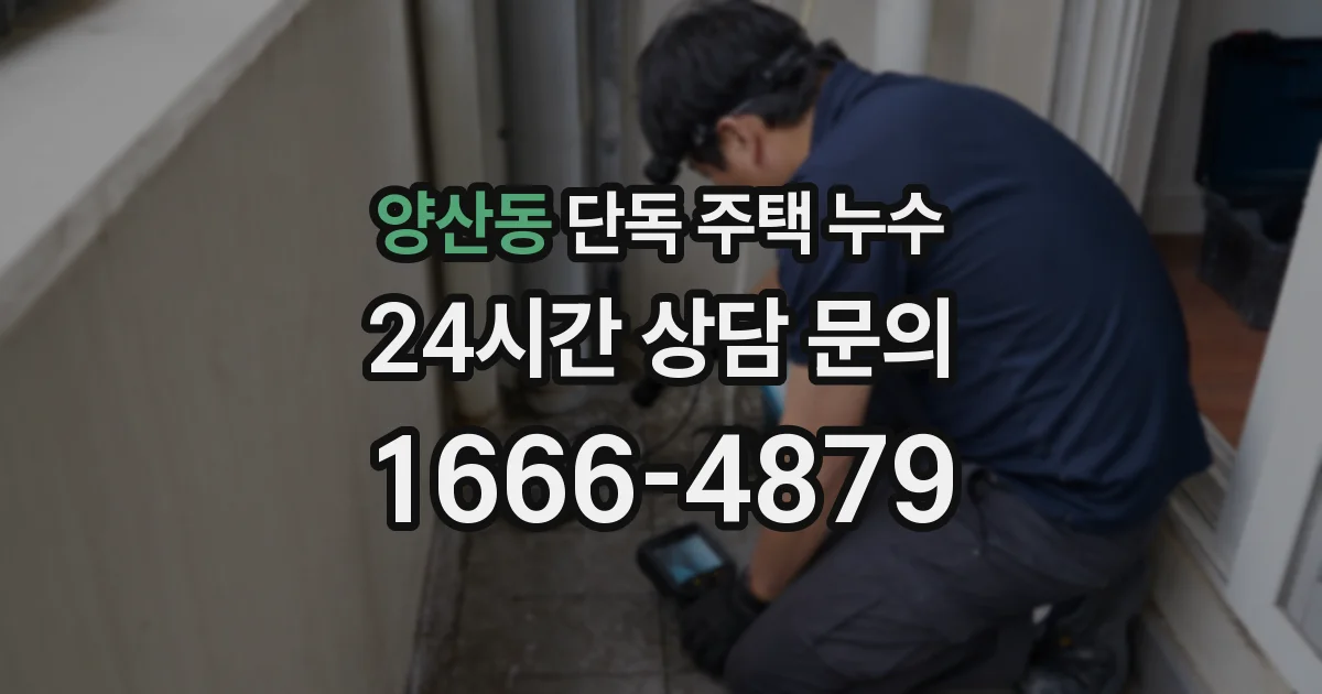 양산동 단독 주택 누수