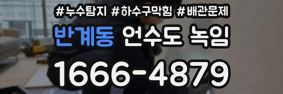 반계동 언수도 녹임