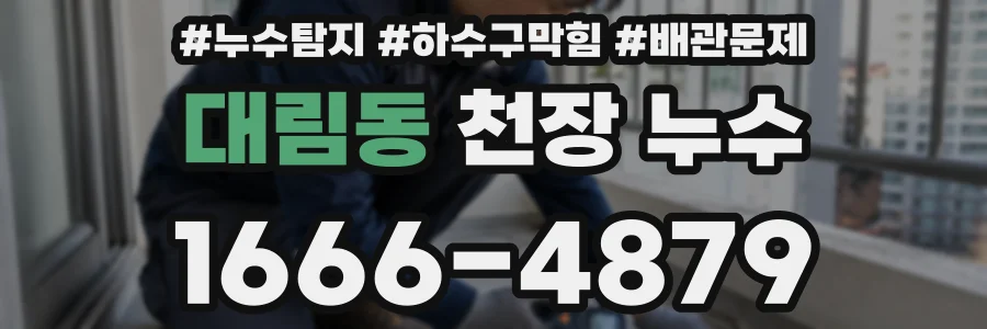 대림동 천장 누수