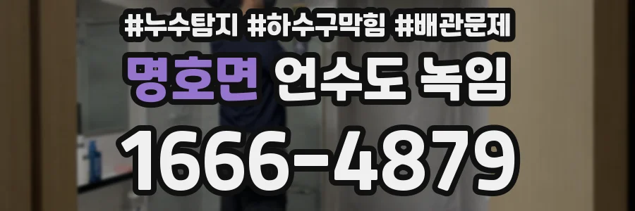 명호면 언수도 녹임