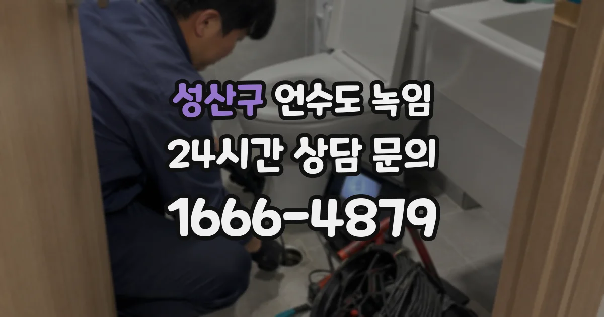 성산구 언수도 녹임