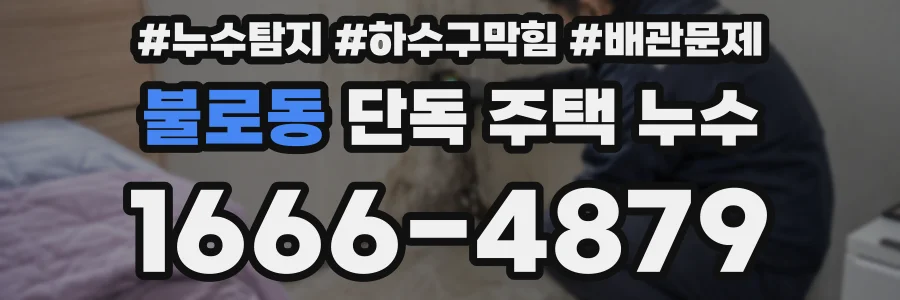 불로동 단독 주택 누수