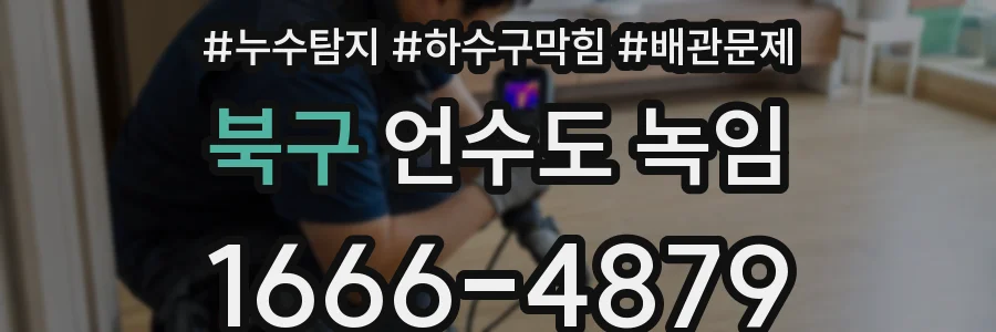 북구 언수도 녹임