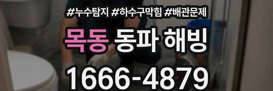 목동 동파 해빙