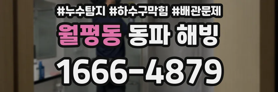월평동 동파 해빙
