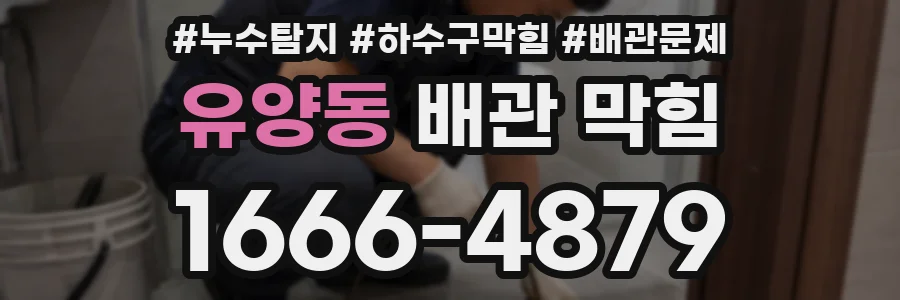 유양동 배관 막힘