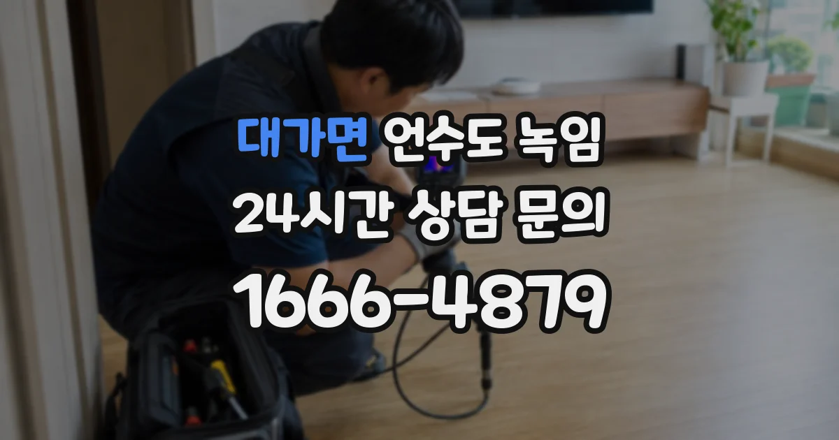 대가면 언수도 녹임