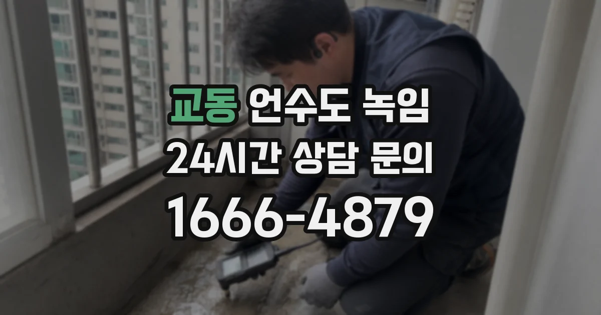교동 언수도 녹임
