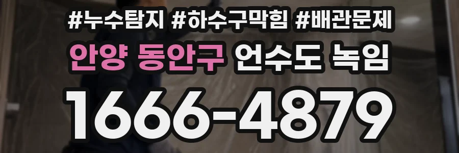 안양 동안구 언수도 녹임