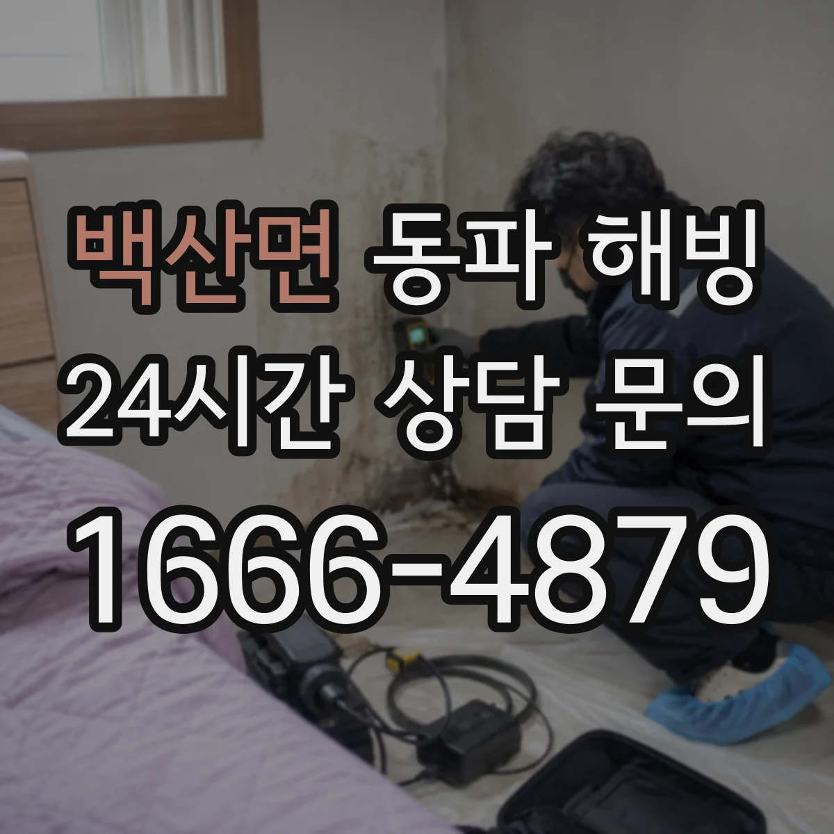 백산면 동파 해빙