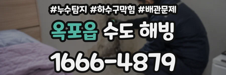 옥포읍 수도 해빙