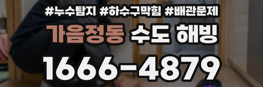 가음정동 수도 해빙