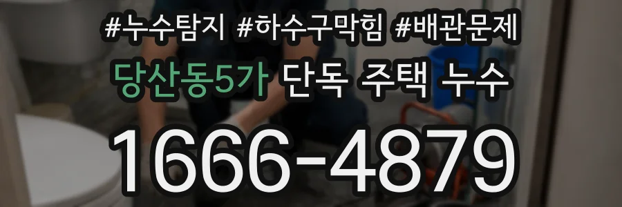 당산동5가 단독 주택 누수