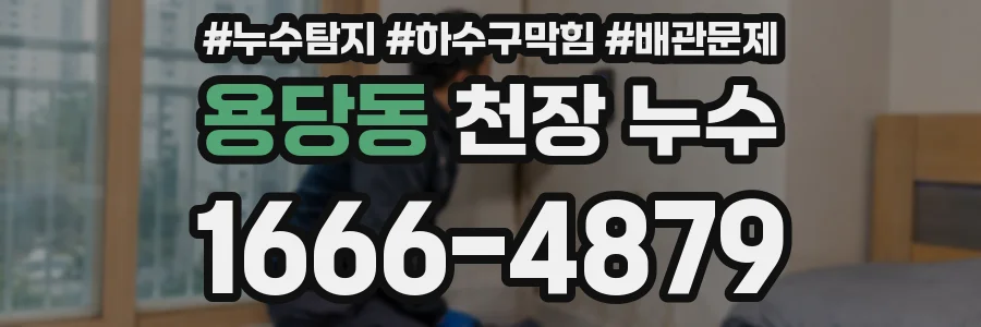 용당동 천장 누수