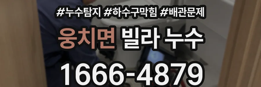 웅치면 빌라 누수